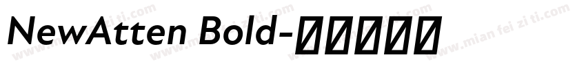 NewAtten Bold字体转换